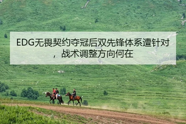 EDG无畏契约夺冠后双先锋体系遭针对，战术调整方向何在